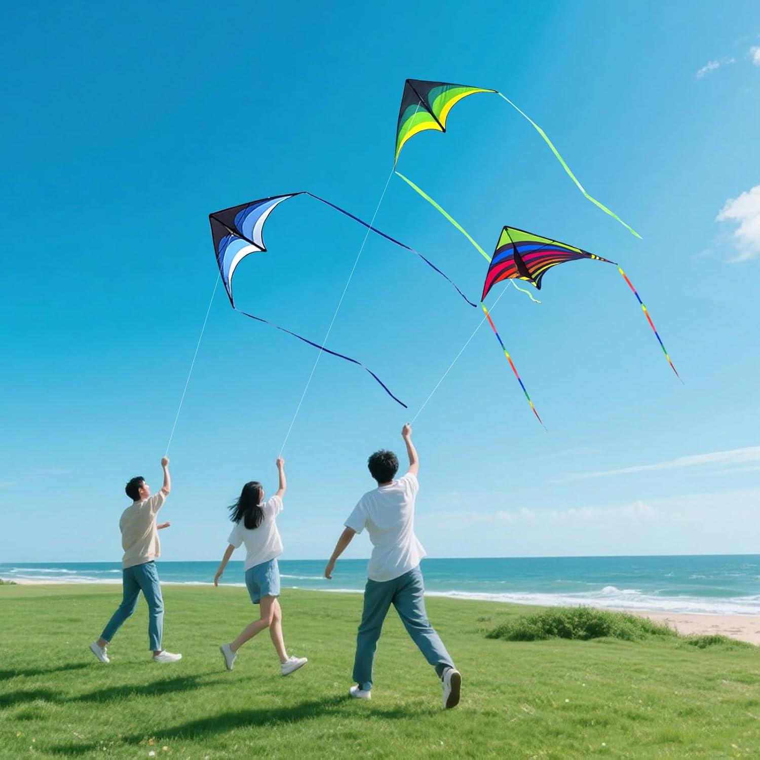 image:image3 Pack Delta Kite Set for Adults and Kids Single Line Beach Kites for Boys amp Girls Three Handle with String IncludedGreen Blue Rainbow