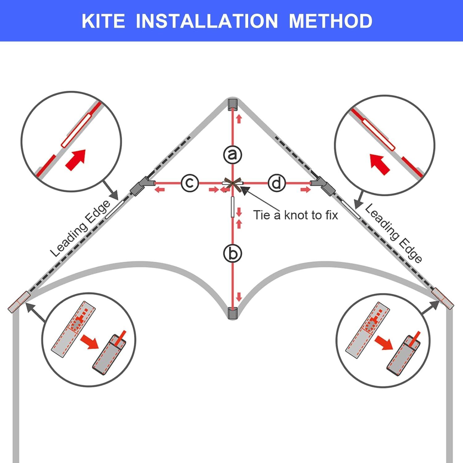 image:image3 Pack Delta Kite Set for Adults and Kids Single Line Beach Kites for Boys amp Girls Three Handle with String IncludedGreen Rainbow