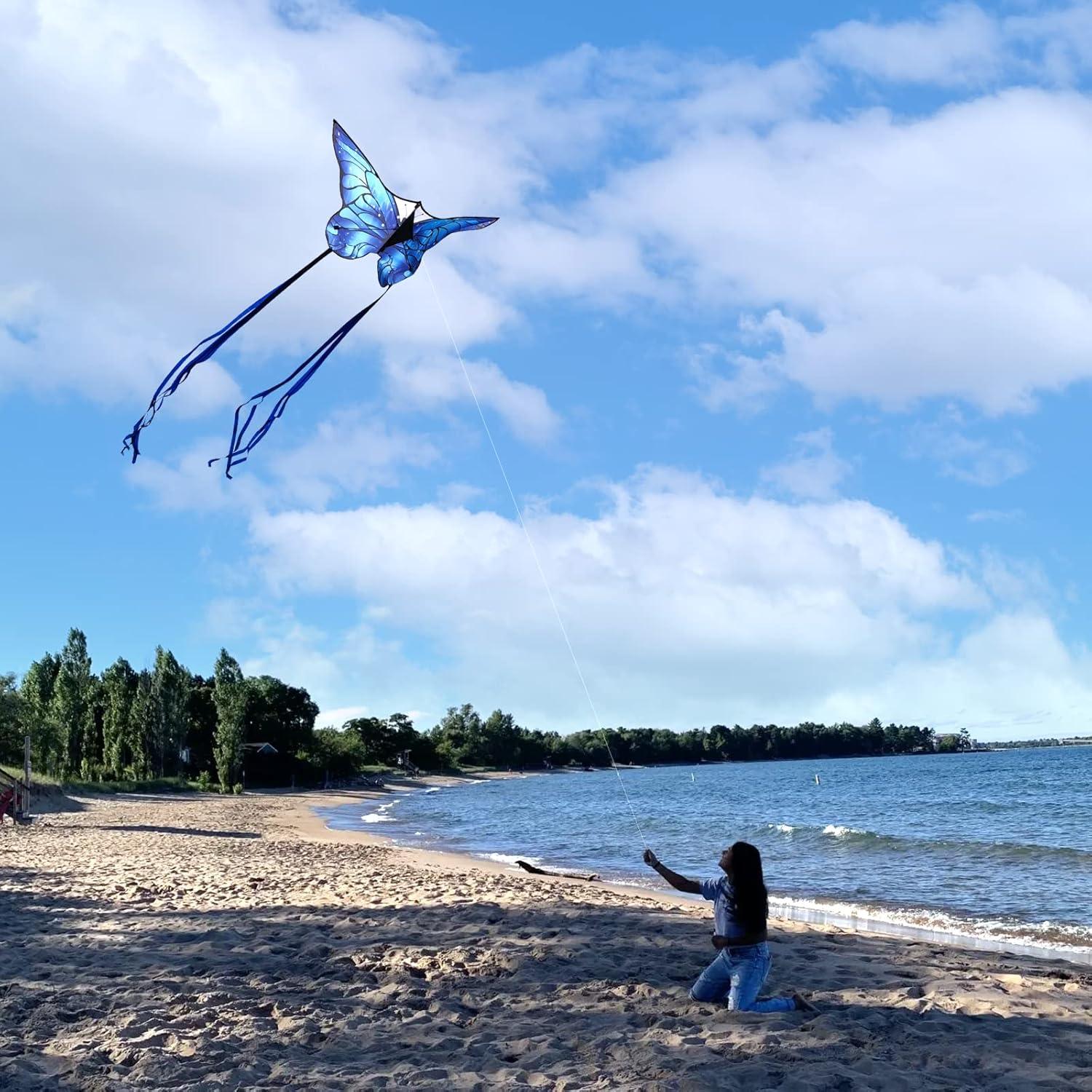 image:imageButterfly Kites for Kids and Adults Easy to Fly Large Single Line Kite for Boys and Girls 55 x 28 Beach Kite for Beginners 300ft String Handle IncludedBlue Butterfly