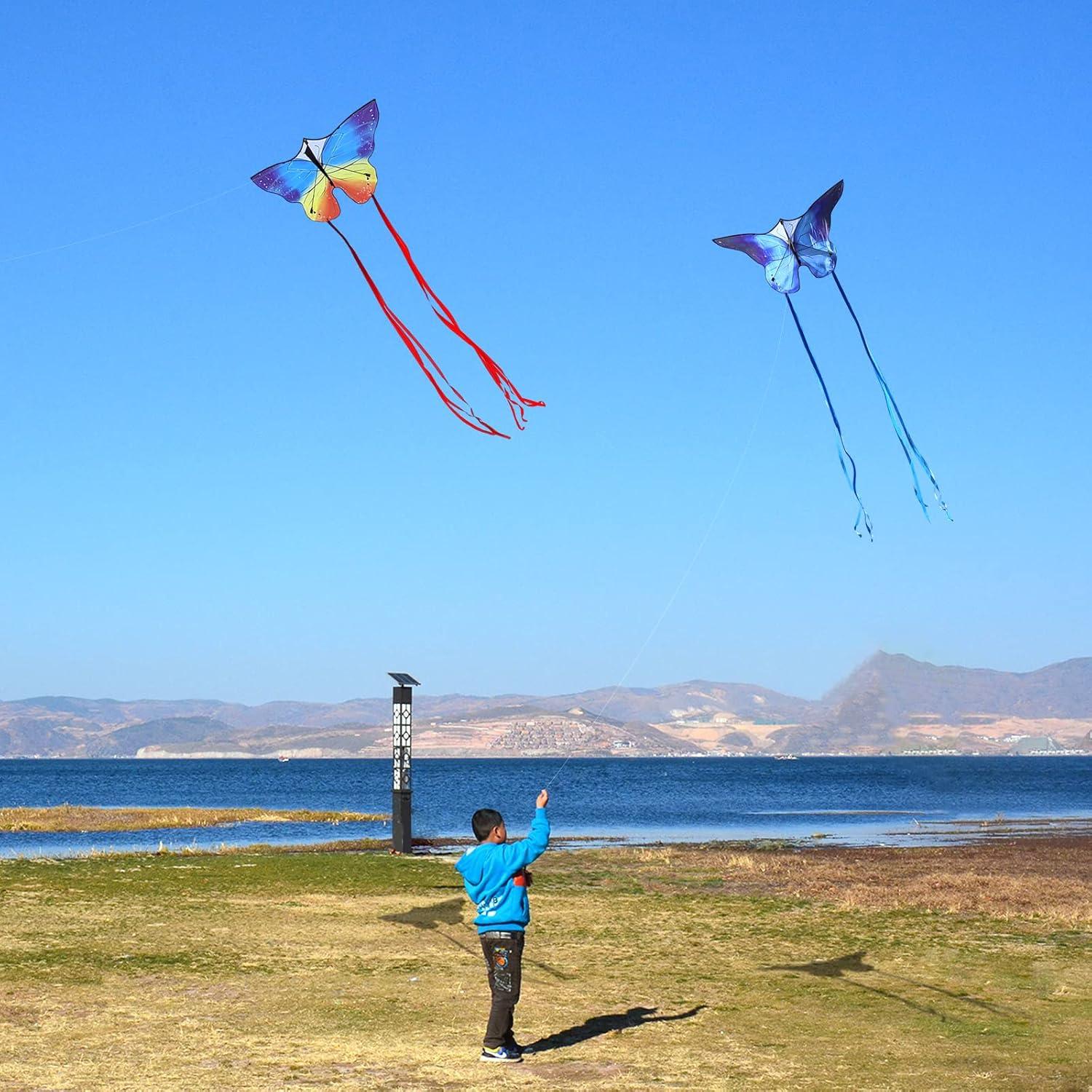 image:imageButterfly Kites for Kids and Adults Easy to Fly Large Single Line Kite for Boys and Girls 55 x 28 Beach Kite for Beginners 300ft String Handle IncludedCouple Butterfly
