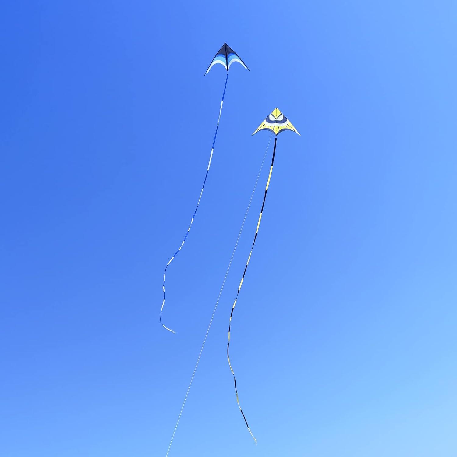 image:imageDelta Kite for Kids amp Adults Easy to Fly Large Single Line Beach Kite with 300ft String Handle Included Perfect for Beginners Teens110 Blue Black