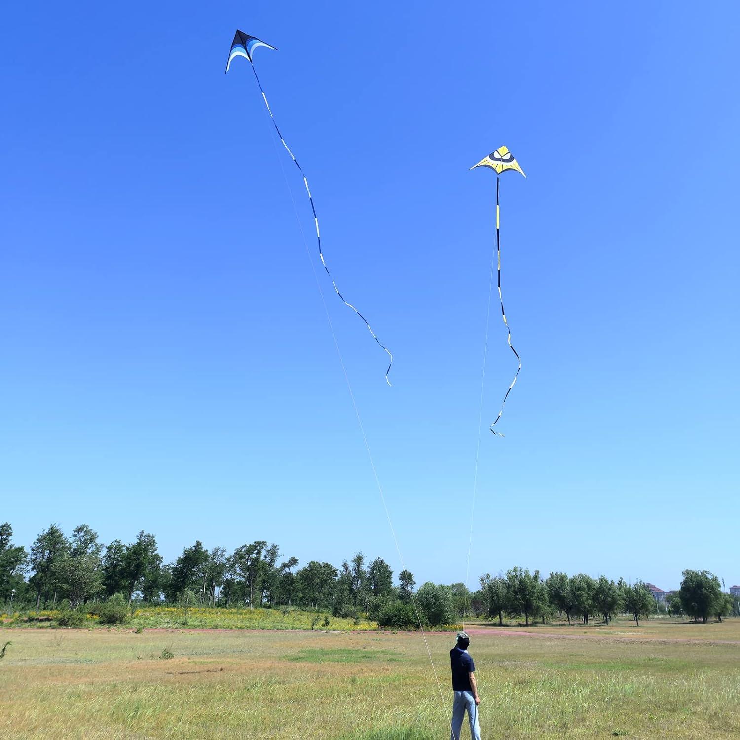 image:imageDelta Kite for Kids amp Adults Easy to Fly Large Single Line Beach Kite with 300ft String Handle Included Perfect for Beginners Teens110 Blue Black