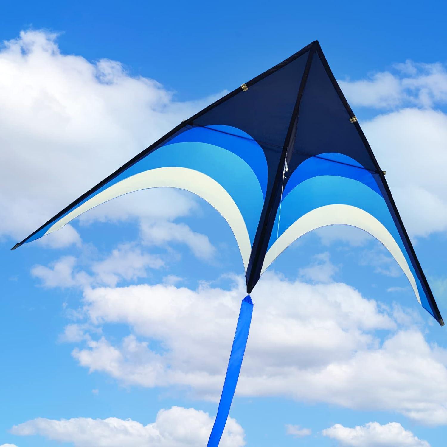 image:imageDelta Kite for Kids amp Adults Easy to Fly Large Single Line Beach Kite with 300ft String Handle Included Perfect for Beginners Teens110 Blue Black
