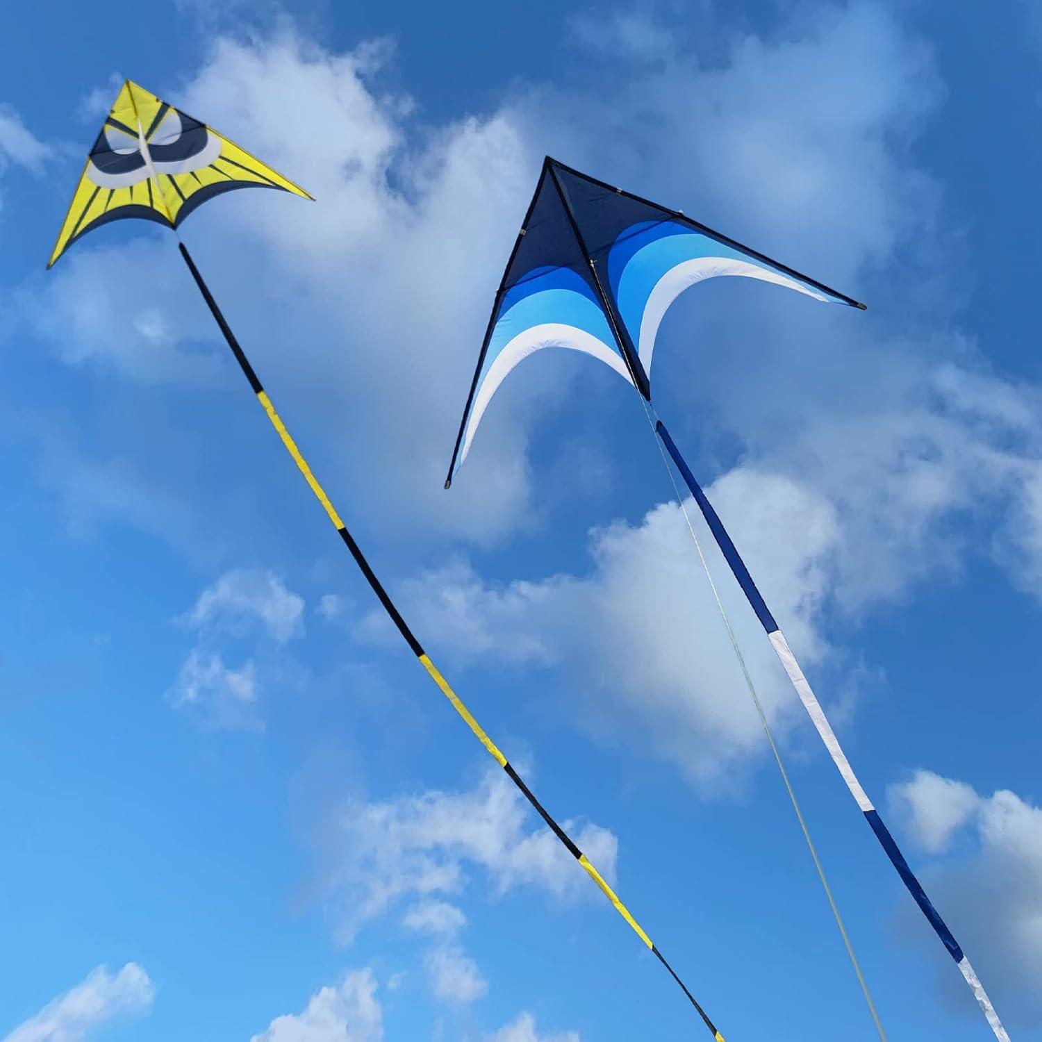 image:imageDelta Kite for Kids amp Adults Easy to Fly Large Single Line Beach Kite with 300ft String Handle Included Perfect for Beginners Teens110 Blue Black