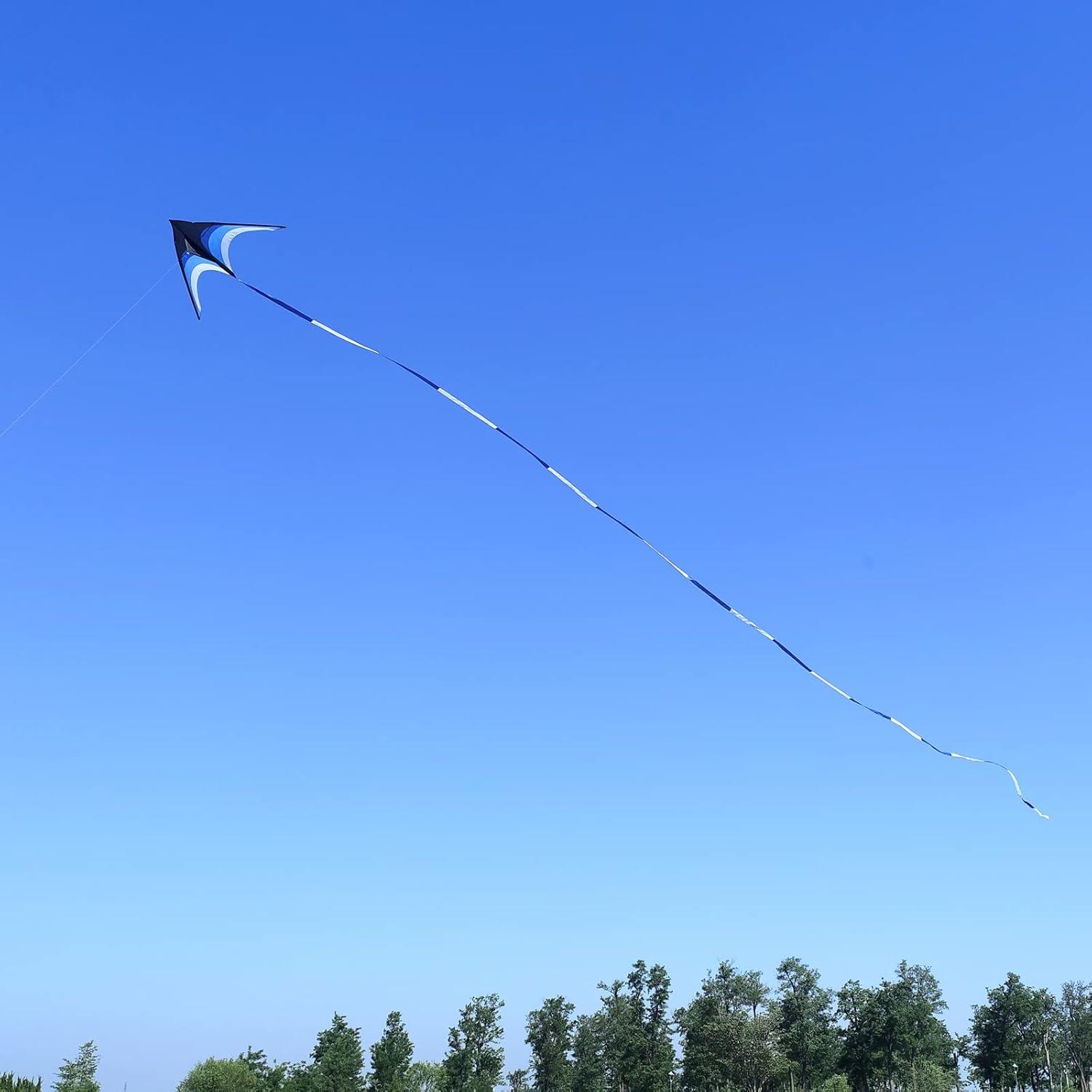 image:imageDelta Kite for Kids amp Adults Easy to Fly Large Single Line Beach Kite with 300ft String Handle Included Perfect for Beginners Teens110 Blue Black