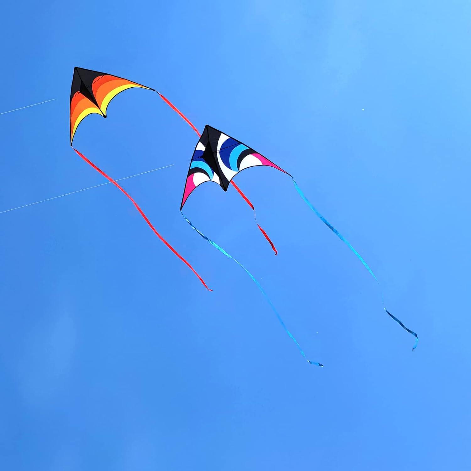 image:imageDelta Kite for Kids amp Adults Easy to Fly Large Single Line Beach Kite with 300ft String Handle Included Perfect for Beginners Teens60 Blue Black