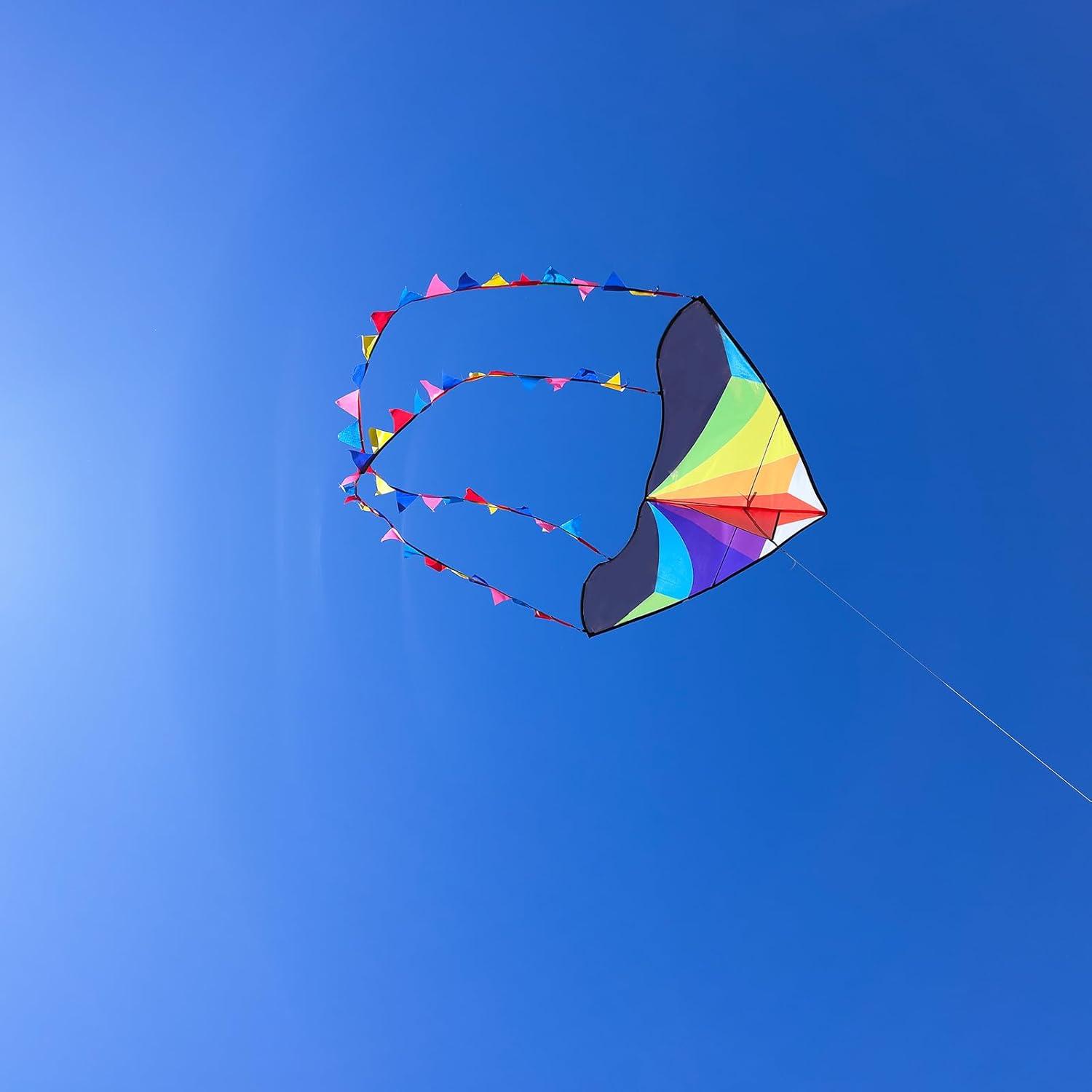 image:imageDelta Kite for Kids amp Adults Easy to Fly Large Single Line Beach Kite with 300ft String Handle Included Perfect for Beginners TeensDelta Rainbow