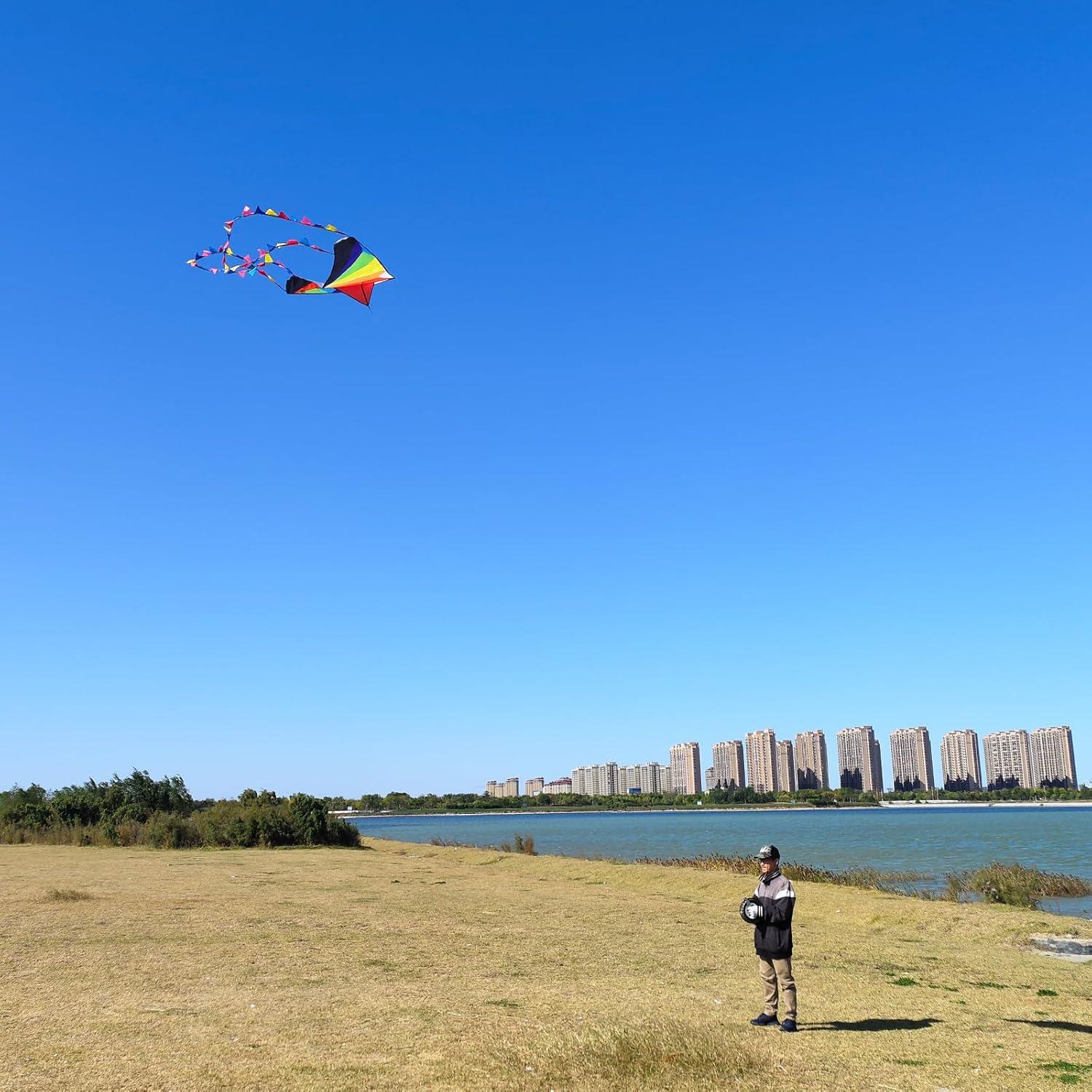 image:imageDelta Kite for Kids amp Adults Easy to Fly Large Single Line Beach Kite with 300ft String Handle Included Perfect for Beginners TeensDelta Rainbow