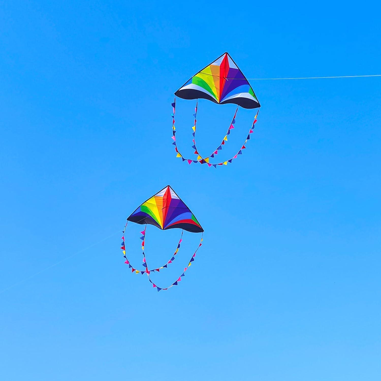 image:imageDelta Kite for Kids amp Adults Easy to Fly Large Single Line Beach Kite with 300ft String Handle Included Perfect for Beginners TeensFlying Rainbow