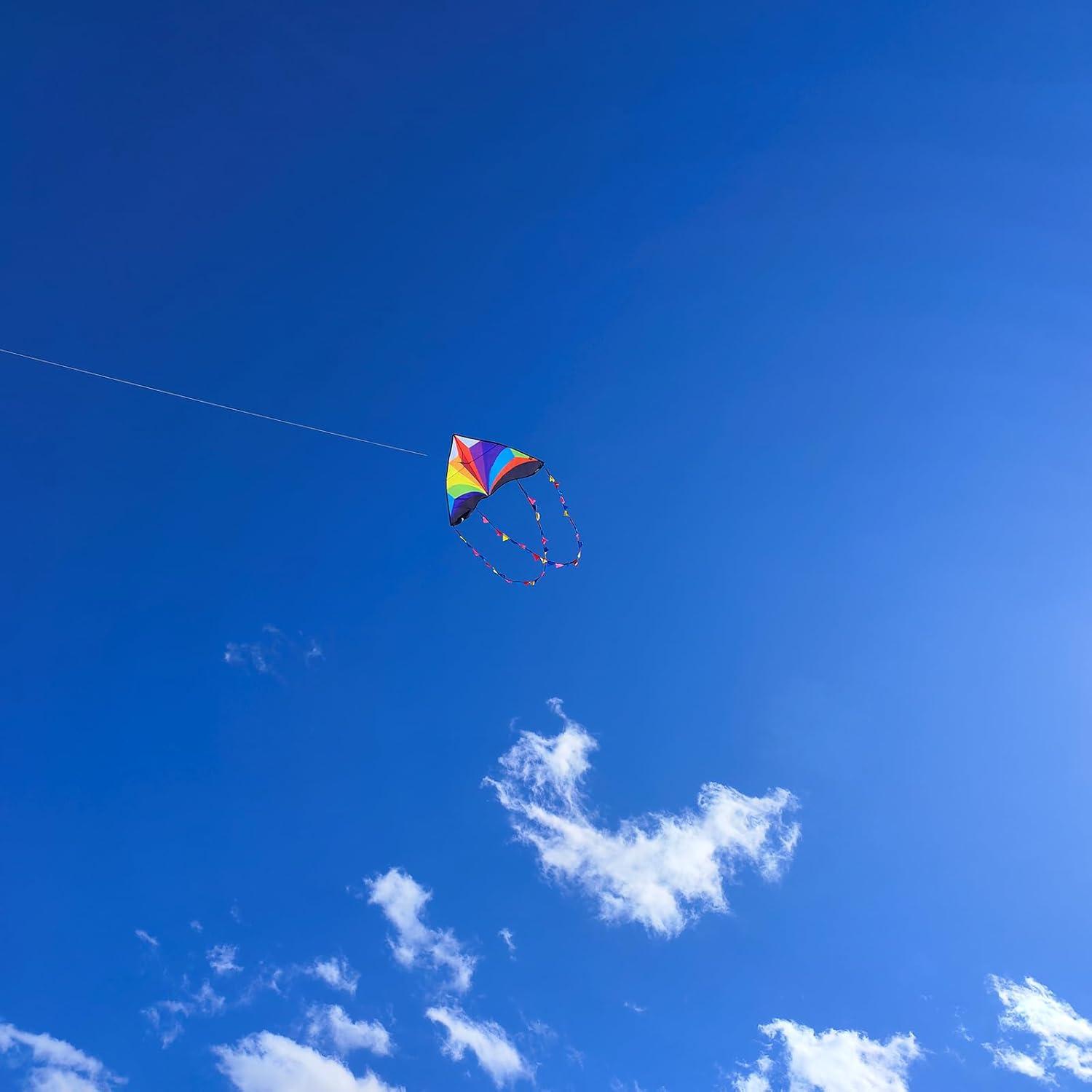 image:imageDelta Kite for Kids amp Adults Easy to Fly Large Single Line Beach Kite with 300ft String Handle Included Perfect for Beginners TeensMulticolor Rainbow