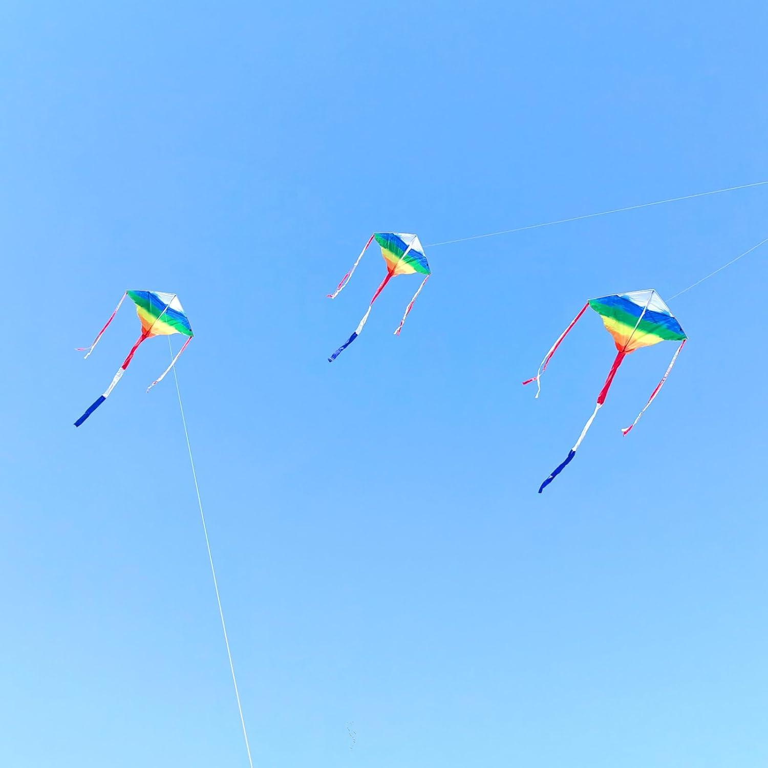 image:imageKites for Kids amp Adults Beach Kites Set for Beginners Easy to Fly Large Kite Pack for Boys and Girls Kite String Included Perfect for Outdoor ActivitiesRainbow Delta