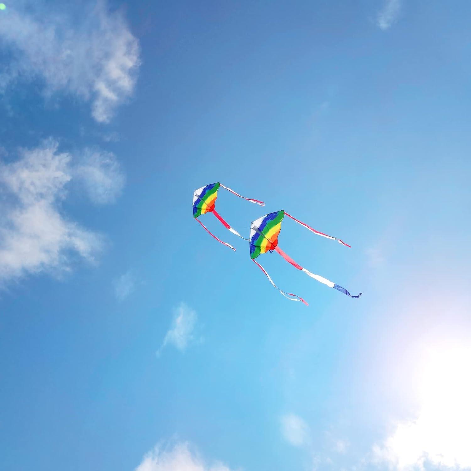 image:imageKites for Kids amp Adults Beach Kites Set for Beginners Easy to Fly Large Kite Pack for Boys and Girls Kite String Included Perfect for Outdoor ActivitiesRainbow Delta