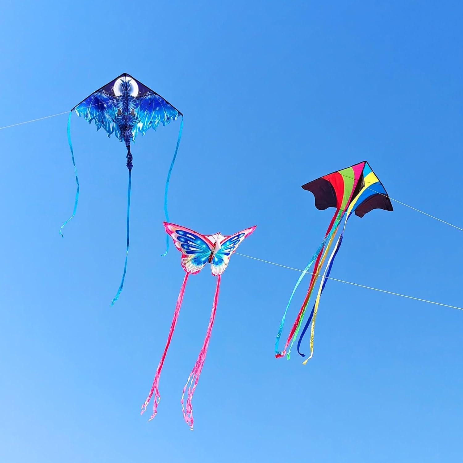 image:imageKites for Kids amp Adults Beach Kites Set for Beginners Easy to Fly Large Kite Pack for Boys and Girls Kite String Included Perfect for Outdoor ActivitiesDragon Delta and Butterfly