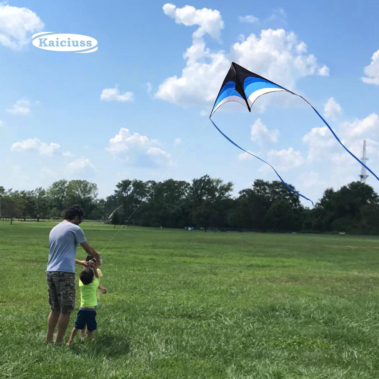 image:imageLarge Delta Kite Easy to Fly with Kite Reel Set Beach Kite amp Kite Spool for Kids amp Adults Single Line Triangle Kite with 71 Inch Kite Wheel KitBlue Delta with Reel
