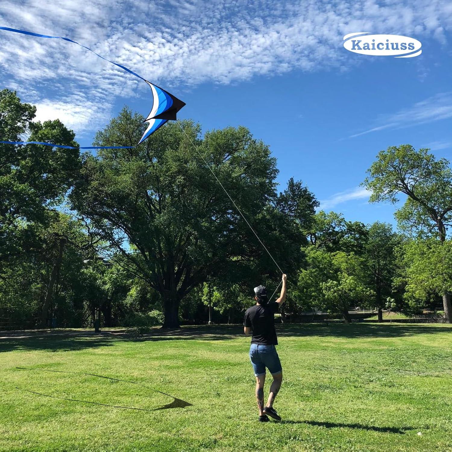 image:imageLarge Delta Kite Easy to Fly with Kite Reel Set Beach Kite amp Kite Spool for Kids amp Adults Single Line Triangle Kite with 71 Inch Kite Wheel KitBlue Delta with Reel