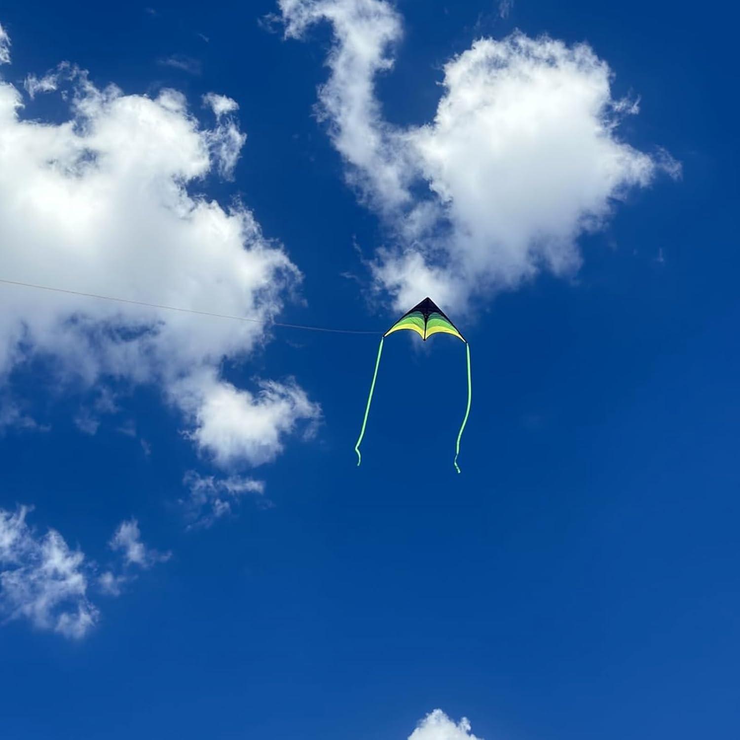 image:imageLarge Delta Kite Easy to Fly with Kite Reel Set Beach Kite amp Kite Spool for Kids amp Adults Single Line Triangle Kite with 71 Inch Kite Wheel KitGreen Delta with Reel
