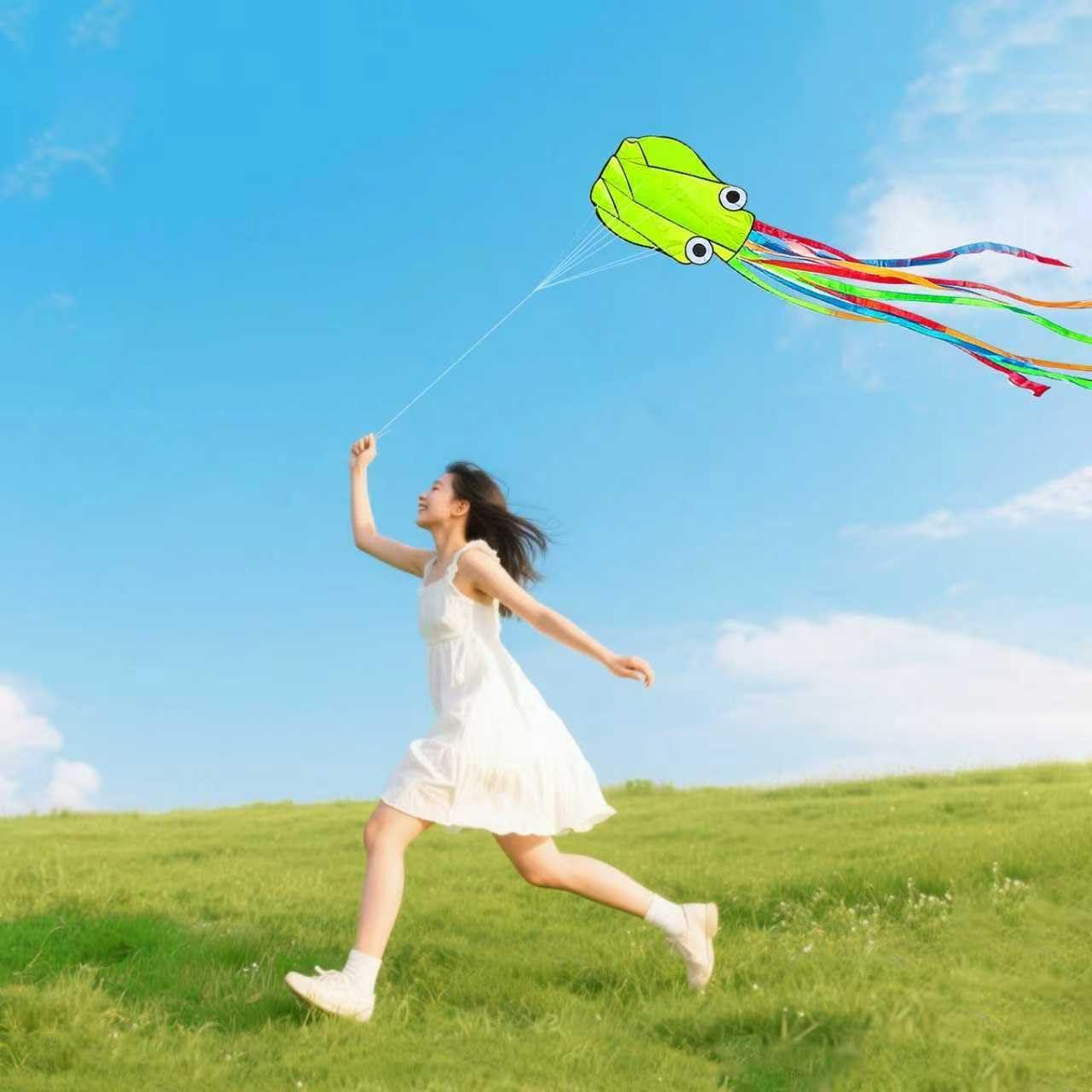 image:imageOctopus Kites for Kids amp Adults Easy to Fly 24x 158 Large Soft Kite Kit for Boys and Girls Single Line 3D Beach Kite Set for TeensPerfect for Outdoor ActivitiesGreen Octopus with Reel