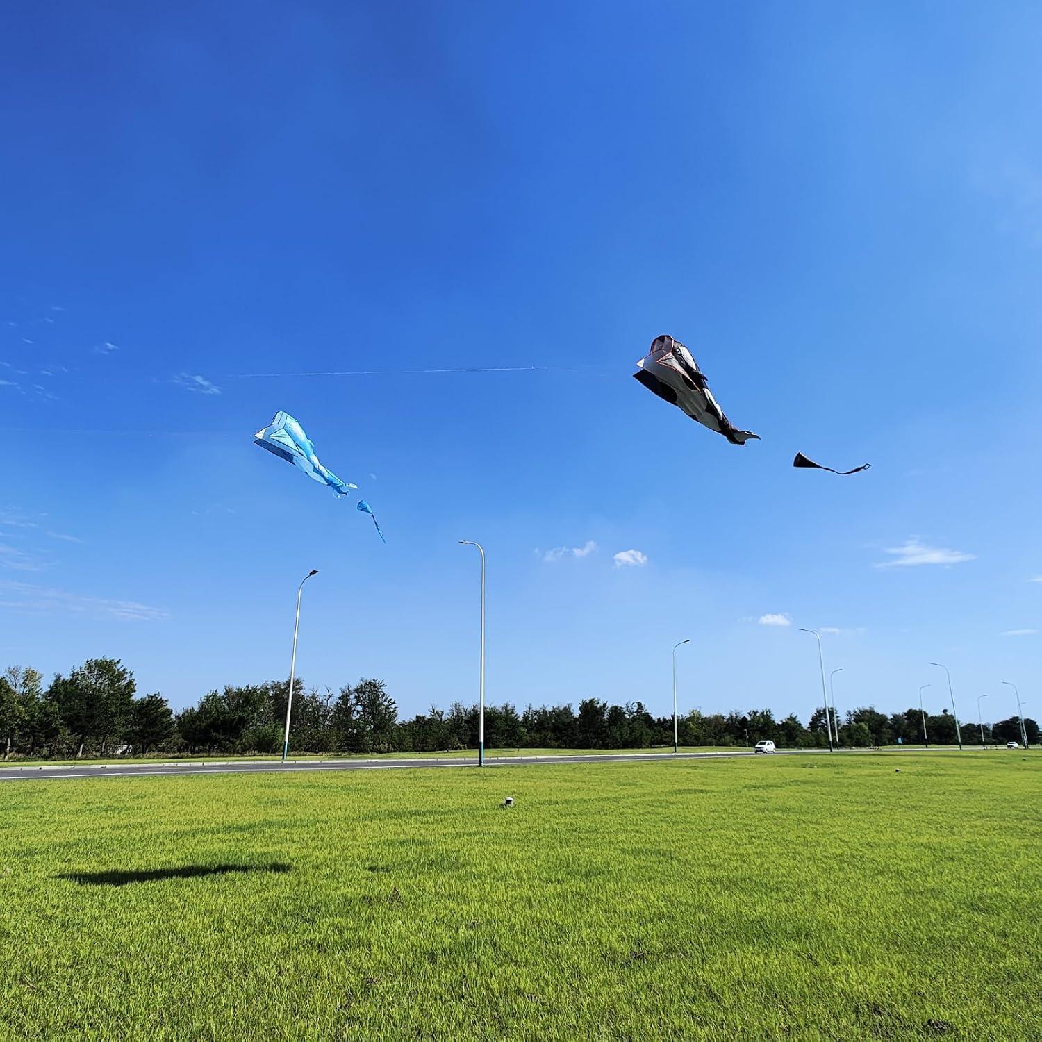 image:imageOrcas Kite for Kids amp Adults Large 3D Single Line Beach Kite Huge Frameless Soft Kite Giant Parafoil Whale Breeze Kite it Comes with 300ft String Kite HoopBlack Orcas Kite