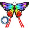 Rainbow Butterfly with Reel