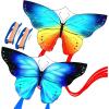 Couple Butterfly