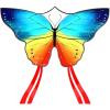 Tricolour Butterfly
