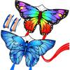 Rainbow & Blue Butterfly