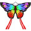 Rainbow Butterfly