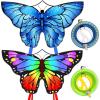 Rainbow & Blue Butterfly with Reels