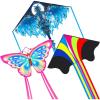 Dragon  Delta and Butterfly
