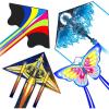 Dragon Delta Airplane and Butterfly