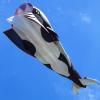 image:imageOrcas Kite for Kids amp Adults Large 3D Single Line Beach Kite Huge Frameless Soft Kite Giant Parafoil Whale Breeze Kite it Comes with 300ft String Kite HoopBlack Orcas Kite