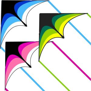 3 Pack Delta Kite Set for Adults and Kids, Single Line Beach Kites for Boys & Girls, Three Handle with String Included(Green & Blue & Pink)