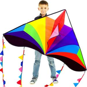Delta Kite for Kids & Adults – Easy to Fly Large Single Line Beach Kite with 300ft String Handle Included, Perfect for Beginners, Teens(Multicolor Rainbow)