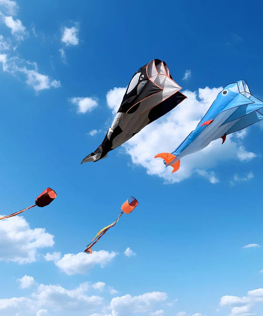 Octopus & Orcas Kite