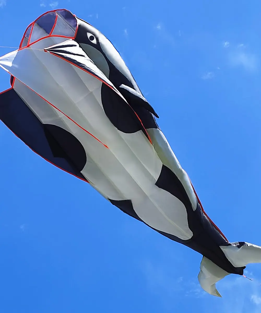Octopus & Orcas Kite1