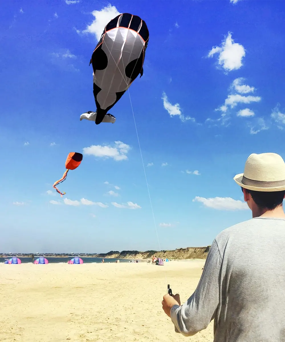 Octopus & Orcas Kite2