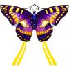 Purple&Yellow